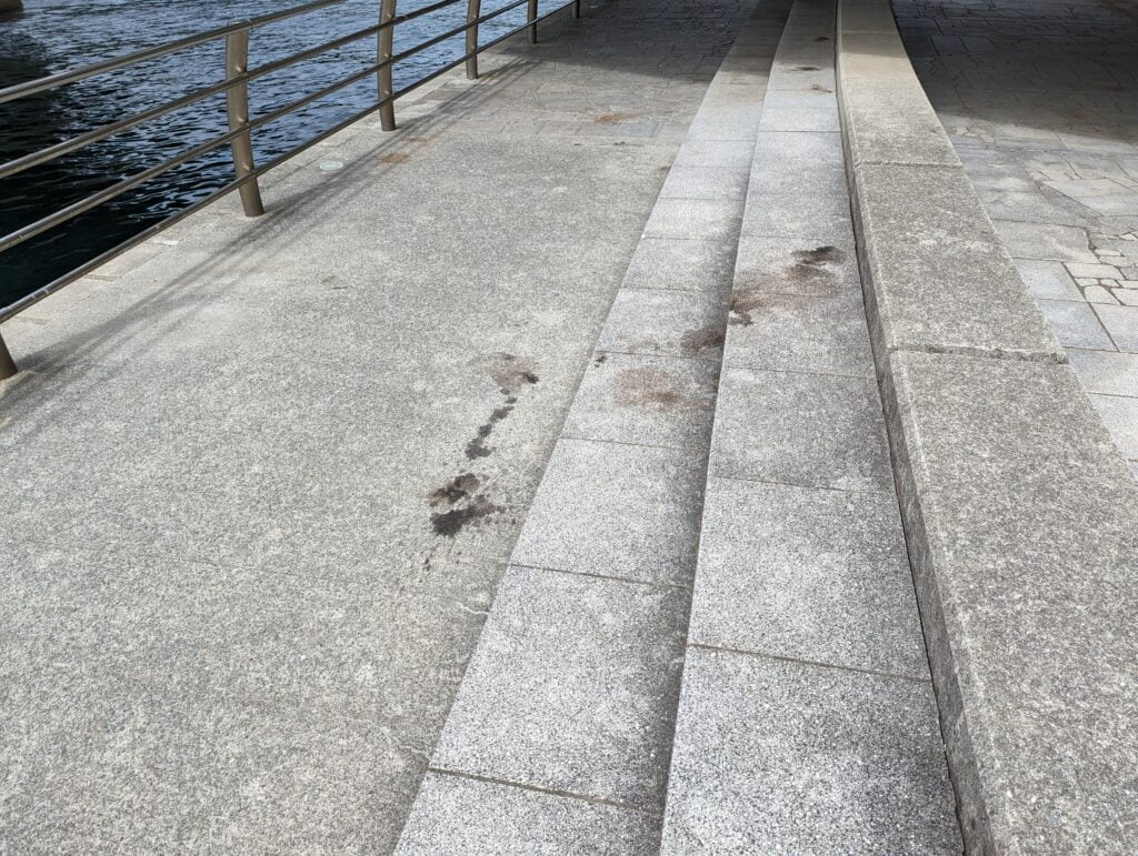 翼港のイカ墨の跡