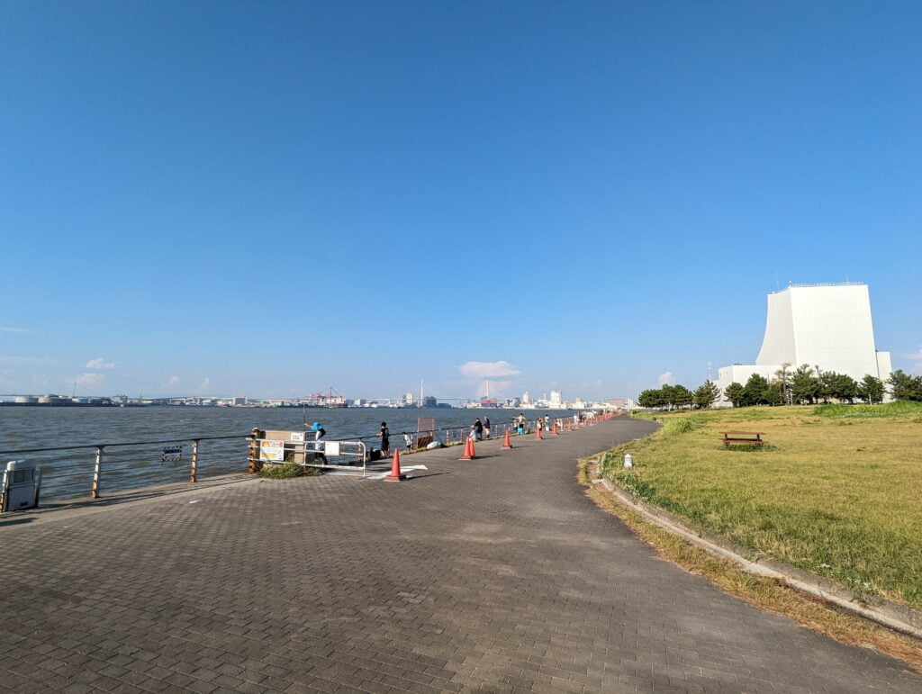 シーサイドコスモの景色