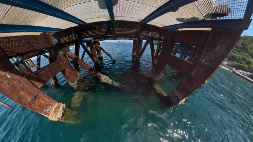 下津ピアーランドの桟橋の直下