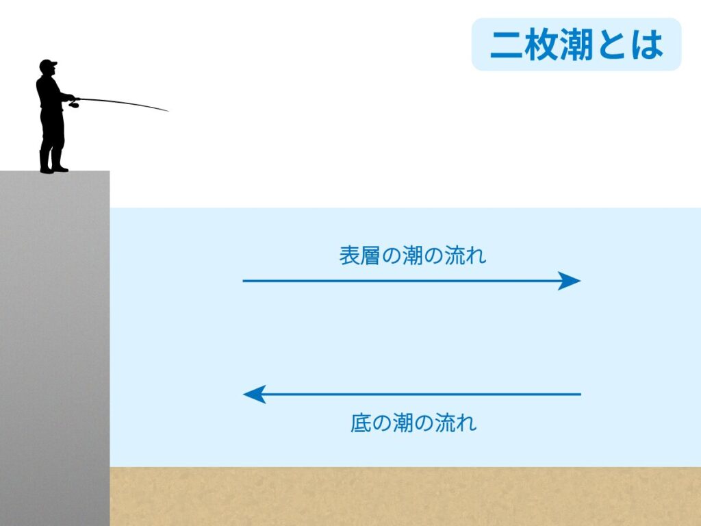 二枚潮の図解