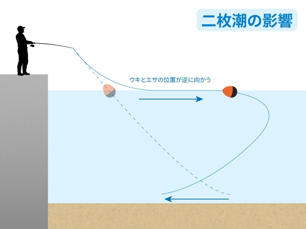二枚潮の影響図解